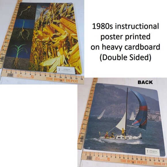 Vintage 80s Corn & Sailboat, Educational Poster thick cardboard farm - Picture 2 of 6